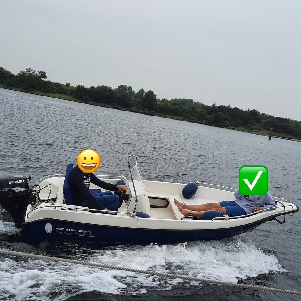 Sealion 420 - met Suzuki 9.9pk en autotrailer - direct varen, Ophalen, Zo goed als nieuw, Overige typen