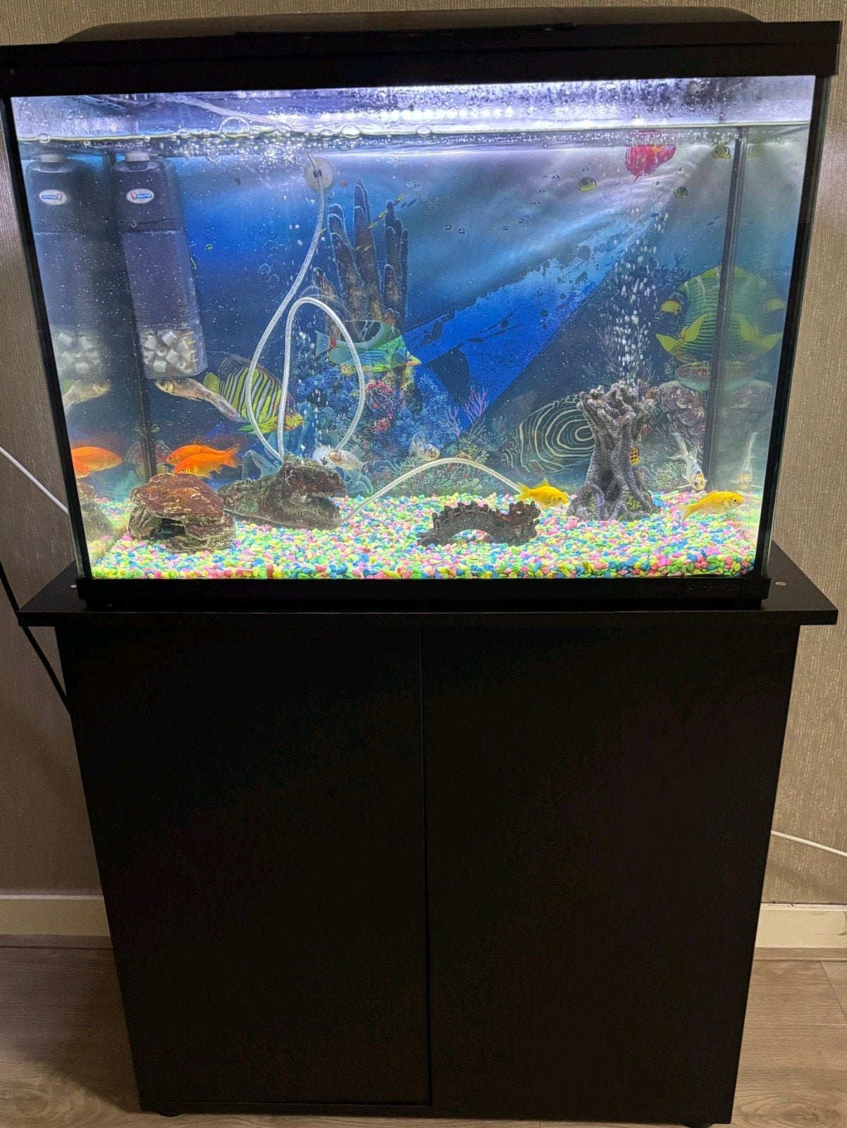 Aquarium 100 liter compleet met vissen en toebehoren spullen, Ophalen, Inclusief toebehoren, Zo goed als nieuw, Leeg aquarium