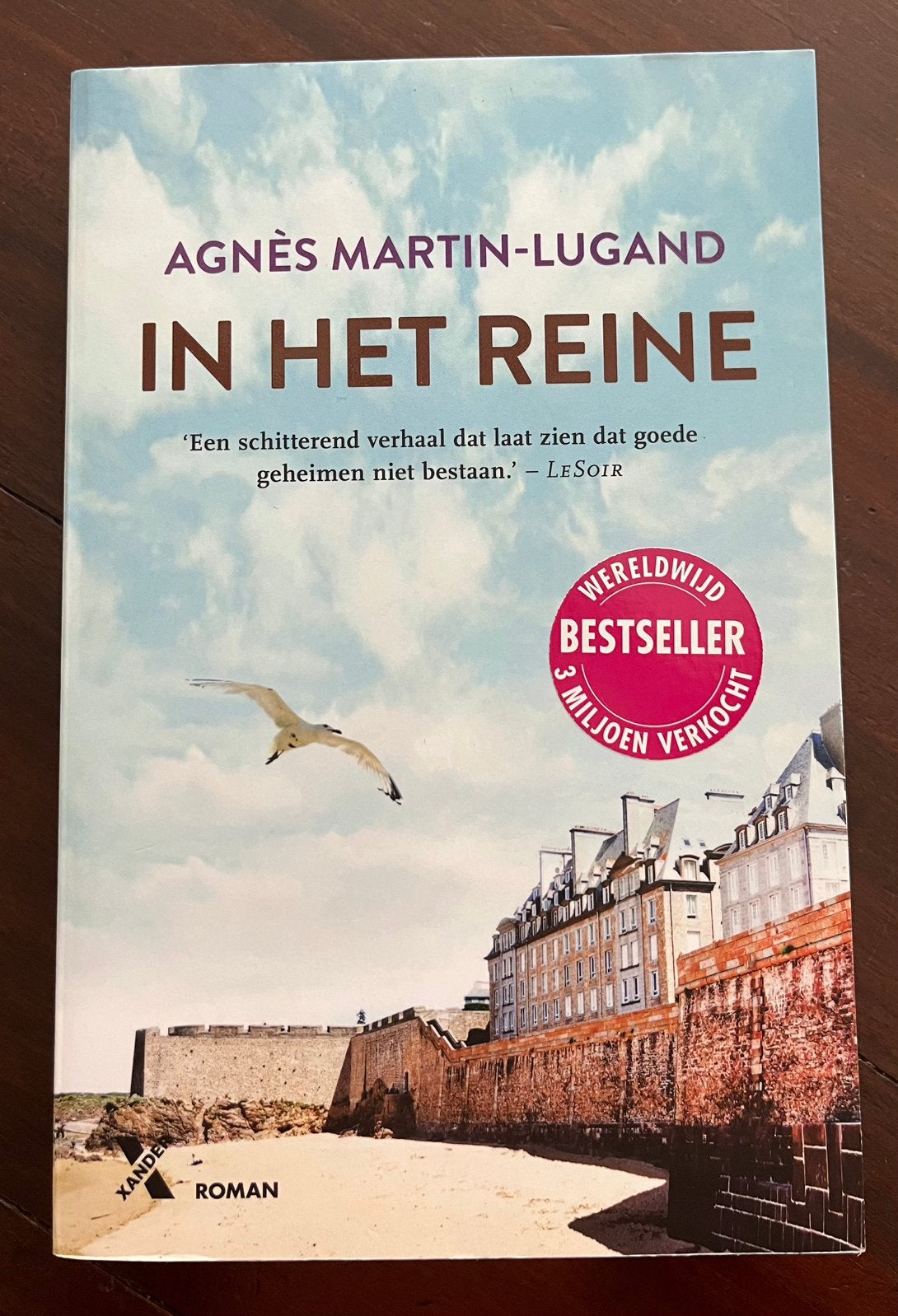 In het reine, Agnes Martin-Lugano, Ophalen of Verzenden, Gelezen