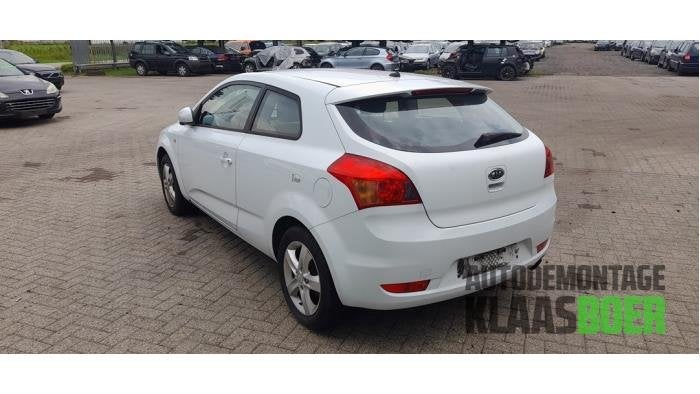 Achterbumper van een Kia Pro Ceed (WD), -, -, Ophalen of Verzenden, Bumper
