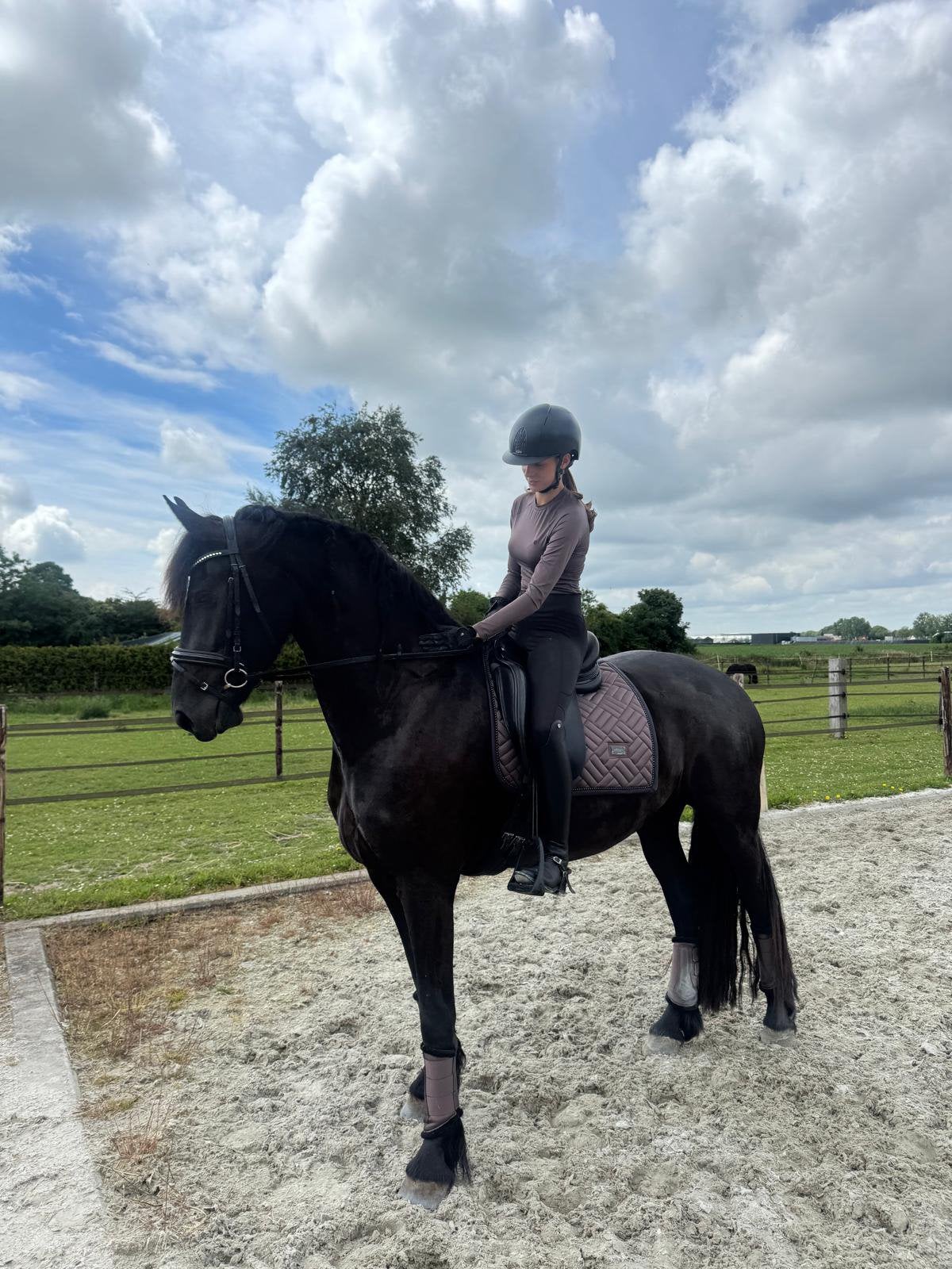 Hele mooie drachtige 3 jarige merrie te koop, Dieren en Toebehoren, Merrie, 165 tot 170 cm, Dressuurpaard, 3 tot 6 jaar