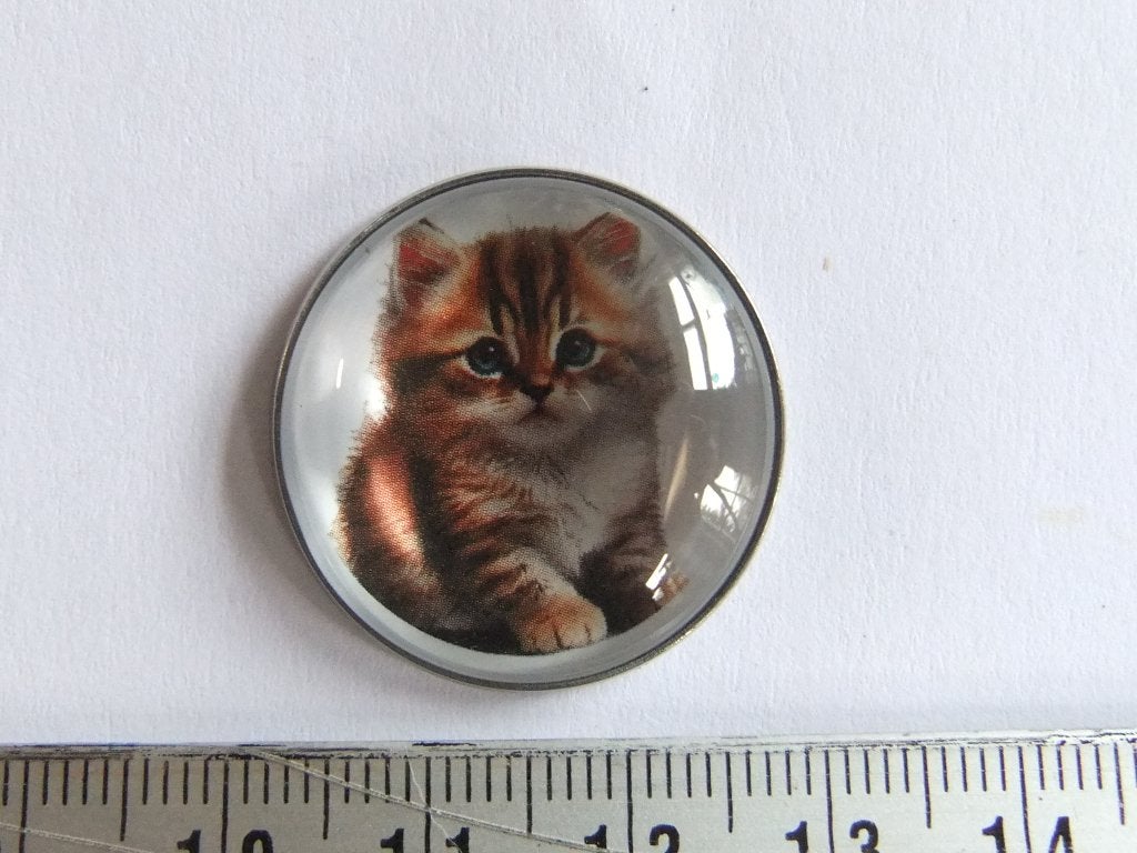 pin of speldje donzig raskatje, Verzenden, Nieuw, Overige onderwerpen