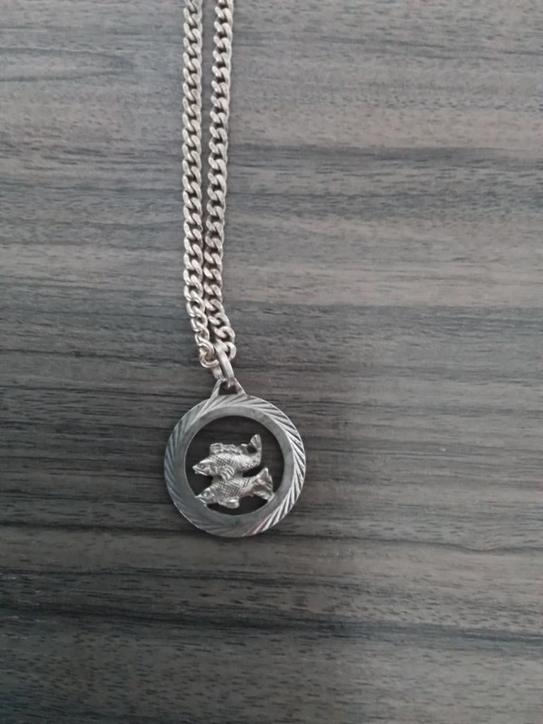 Zilveren ketting met hanger vissen, Sieraden, Tassen en Uiterlijk, Kettingen, Met hanger, Ophalen of Verzenden, Zo goed als nieuw