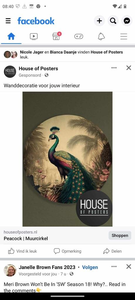 Pauwen Muurcirkel, Huis en Inrichting, Woonaccessoires | Wanddecoraties, Overige stijlen, Verzenden, Nieuw, Wandcirkel