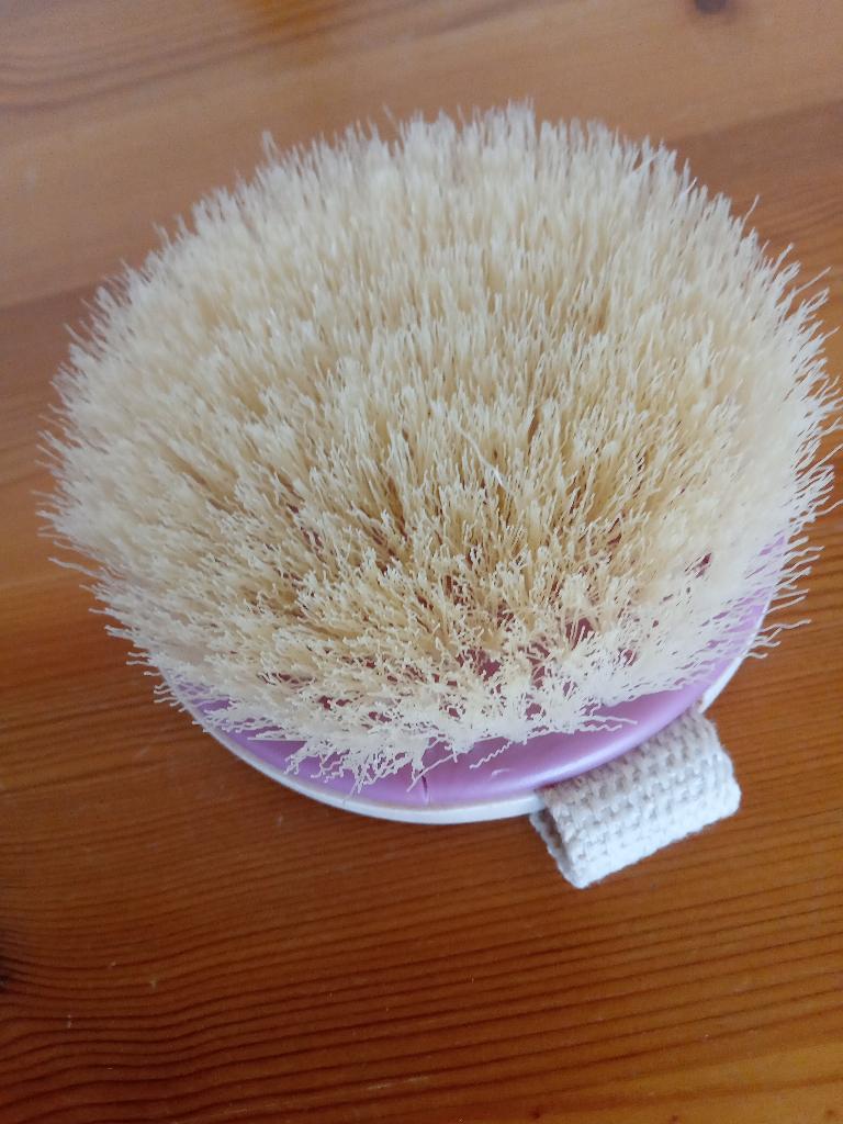 Dry body brush lichaamsborstel Ecotools, Ophalen of Verzenden, Nieuw, Lichaamsverzorging