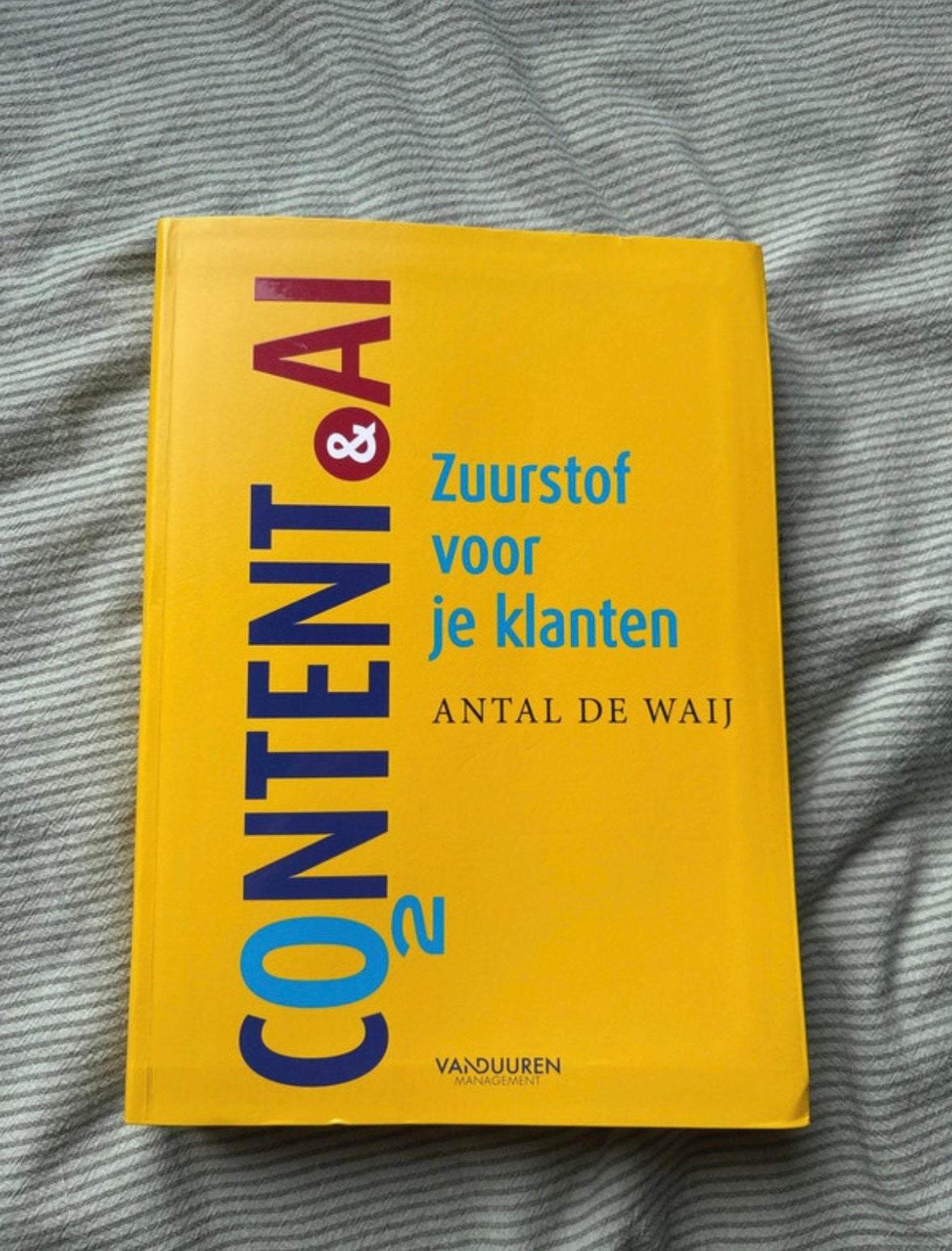 Content & AI | 1e druk, Ophalen of Verzenden, Beta, Gelezen, HBO