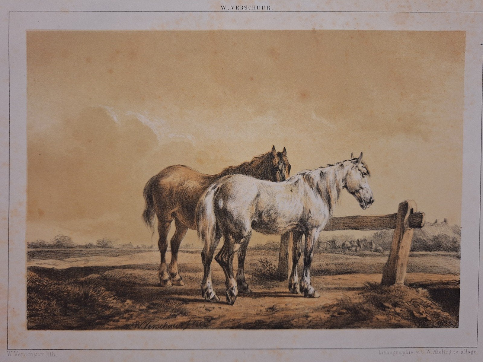 Lithografie Paarden Wouterus Verschuur, Ophalen of Verzenden, Dieren en Natuur, Lithografie