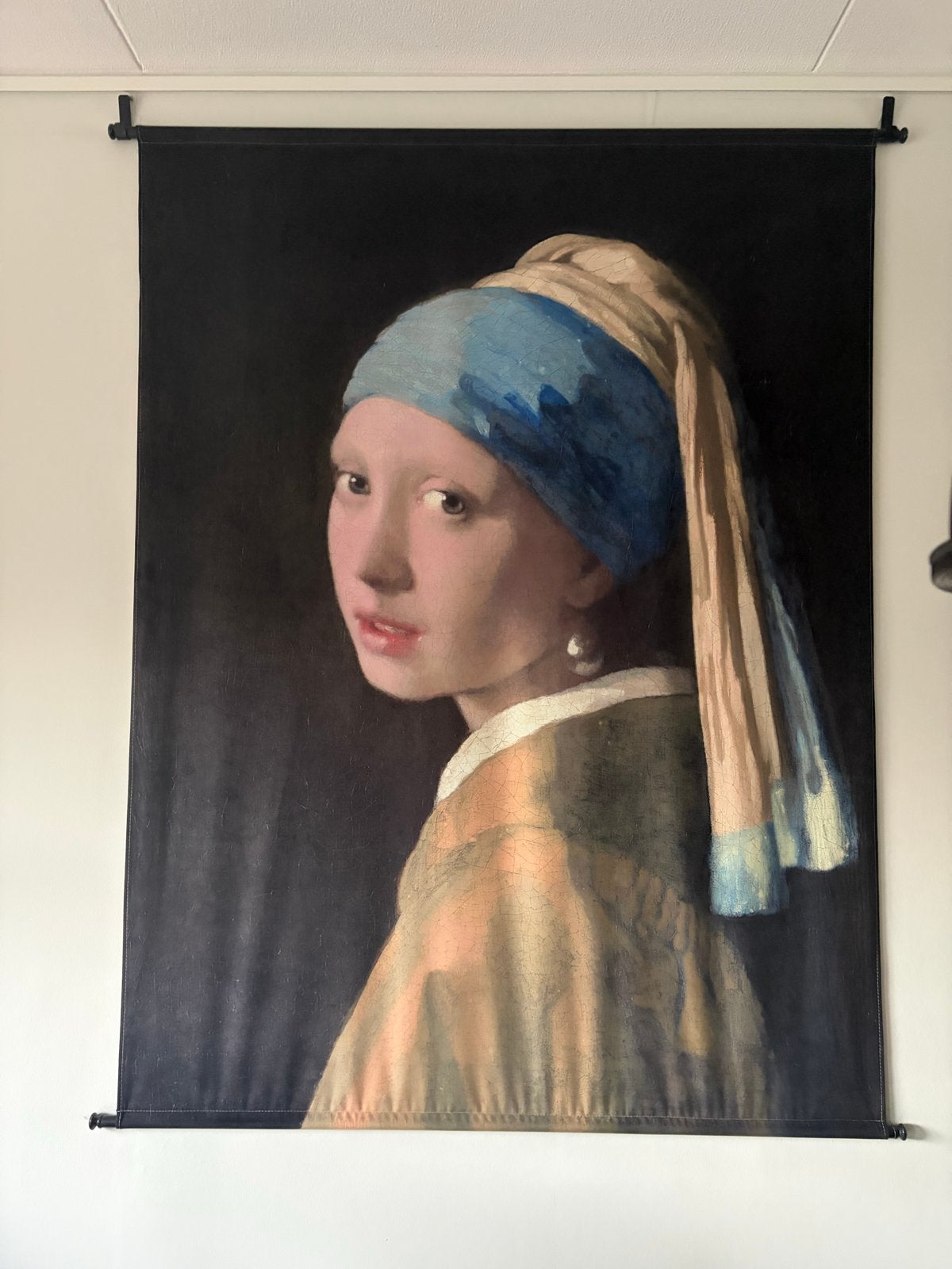 Wandkleed Meisje met de Parel - 270x130 cm, Ophalen, Meerkleurig, Klassiek, Zo goed als nieuw