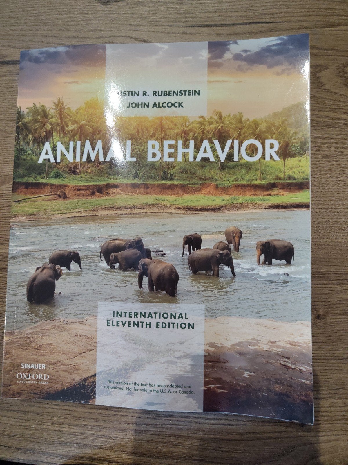 John Alcock - Animal Behavior 11e, Bloemen, Planten en Bomen, John Alcock, Ophalen of Verzenden, Zo goed als nieuw