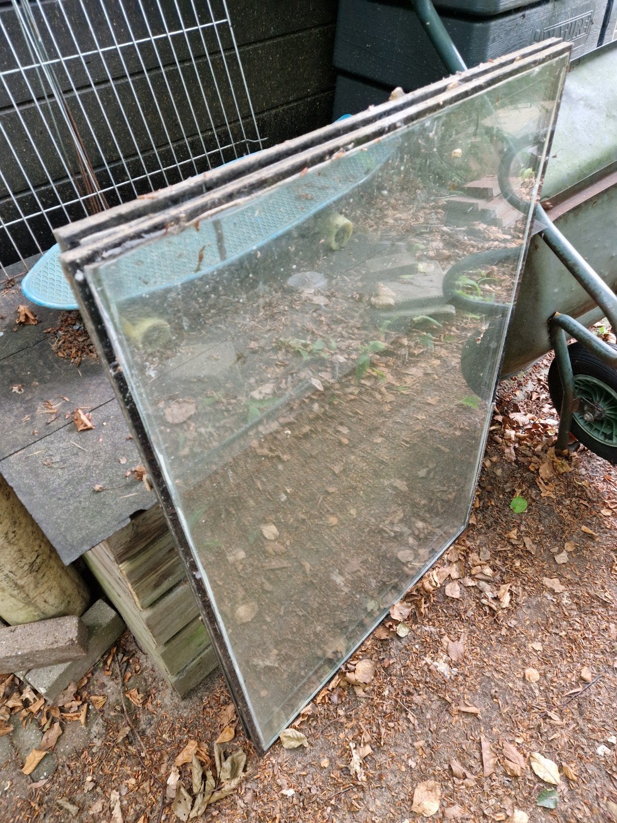 Dubbelglas ruiten - 75 x 112 cm, Ophalen, Gebruikt, Minder dan 80 cm, 80 tot 120 cm