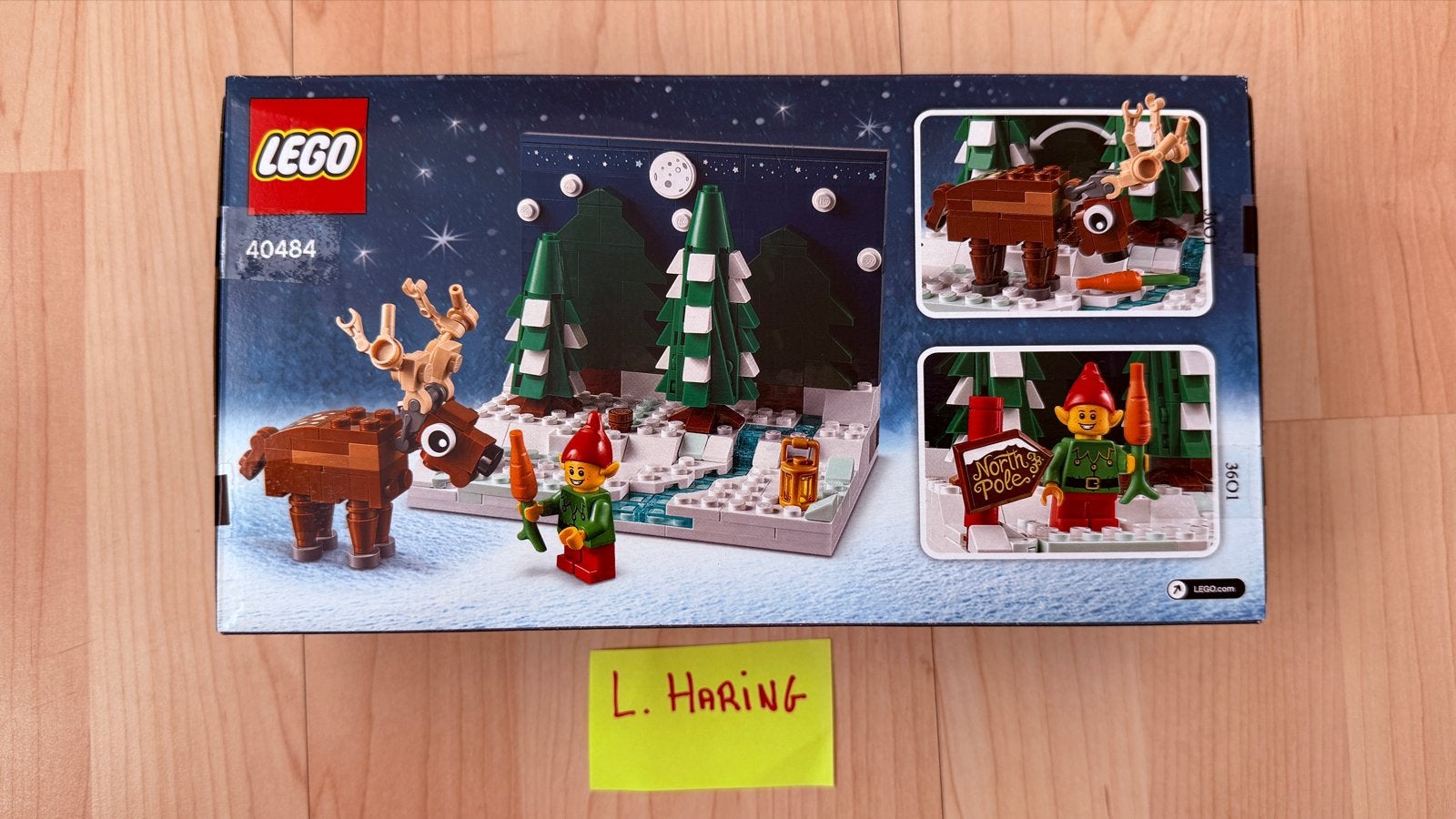 Nieuw LEGO 40484 Santa's Front Yard - Limited Edition, Overige thema's, Lego, Nieuw, Ophalen of Verzenden