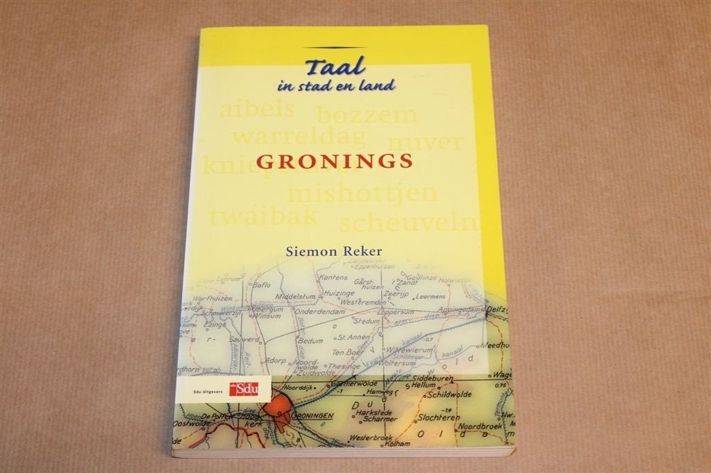 Gronings — Siemon Reker, Taal & Geschiedenis, Ophalen of Verzenden, Gelezen