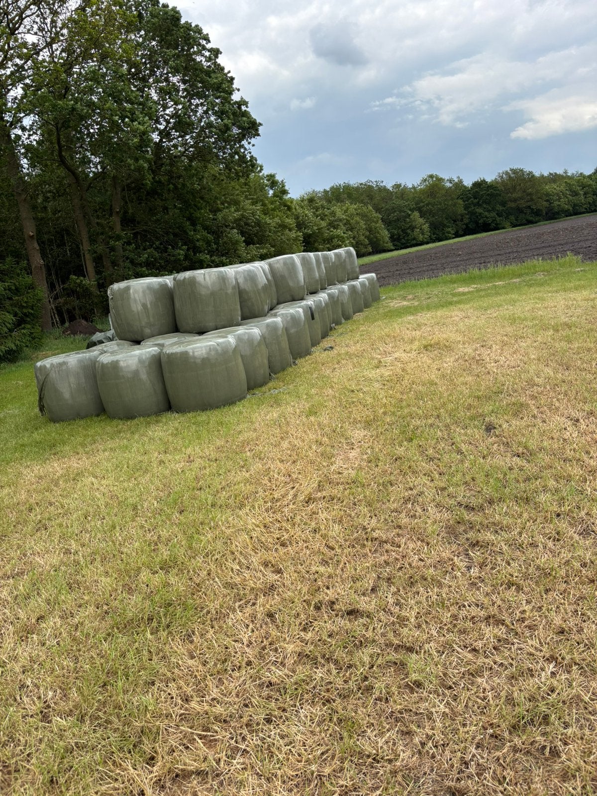Midibalenhooi, Dieren en Toebehoren, Dierenvoeding, Ophalen, Vee