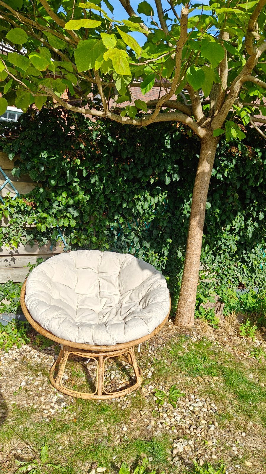 Papasan lounge stoel rotan, Casa, Ophalen, Gebruikt, Bruin, Riet of Rotan