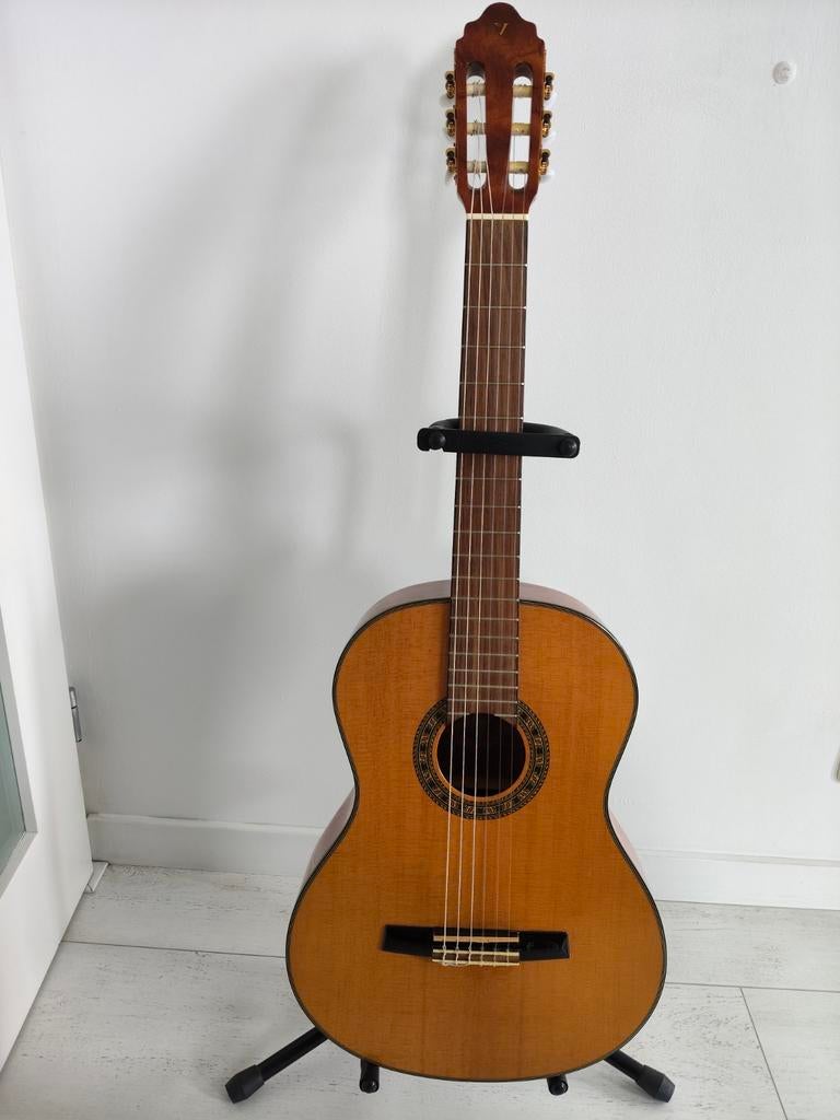 VALENCIA CG-195 klassiek gitaar met standaard, hoes enz, Ophalen, Zo goed als nieuw, Klassieke of Spaanse gitaar
