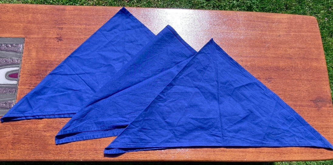 3 blauwe Scouting dassen, Ophalen of Verzenden, Gebruikt