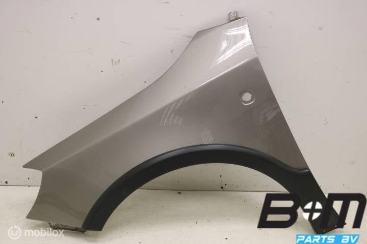 Spatscherm links voor Skoda Fabia 2 / Roomster 5J0821021A, Auto-onderdelen, Gebruikt