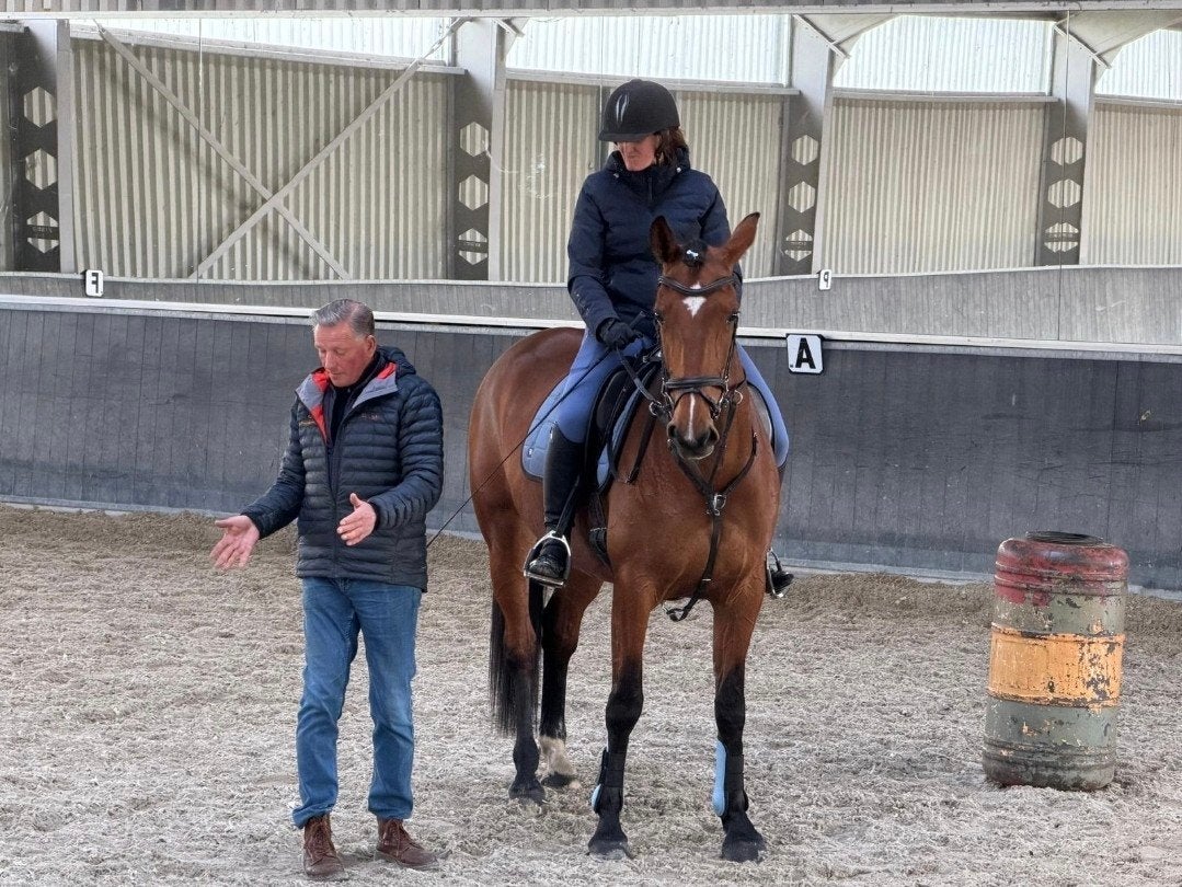 bijrijdster gezocht omgeving Strijbeek, Dieren en Toebehoren, Paarden en Pony's | Verzorgingsproducten, Ophalen