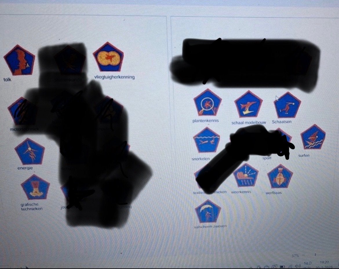 Gezocht, Ophalen of Verzenden, Zo goed als nieuw, Embleem, Speld of Insigne