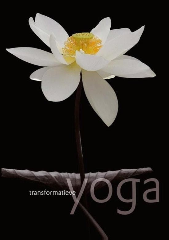 Ganga Hoogendoorn Transformatieve Yoga, Ophalen of Verzenden, Nieuw, Meditatie of Yoga, Instructieboek