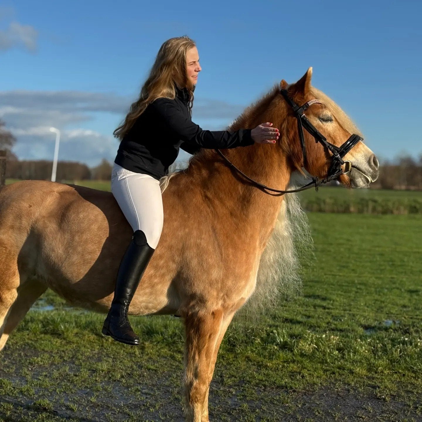 Verzorger gezocht, Ophalen of Verzenden, Nieuw