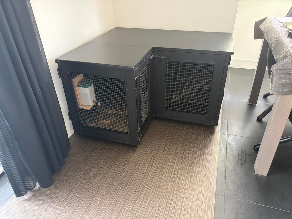 Konijnen of andere knaagdieren hok in het zwart zelf gemaakt, Dieren en Toebehoren, Knaagdieren en Konijnen | Hokken en Kooien