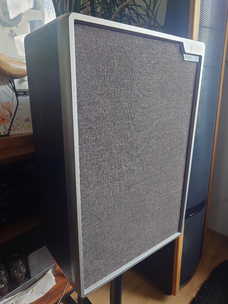 Philips 22AH467 luidsprekers, Audio, Tv en Foto, Ophalen, Philips, Gebruikt, Minder dan 60 watt