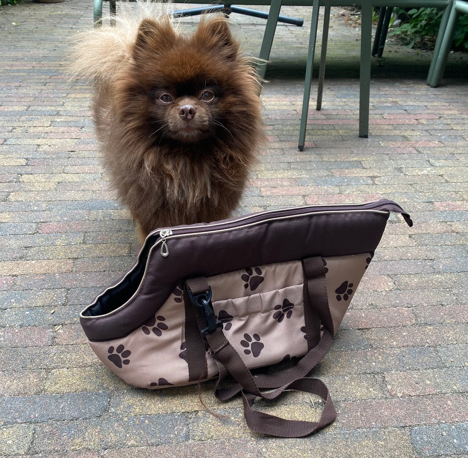 Reistas kleine hond (zonder hond), Ophalen, Zo goed als nieuw
