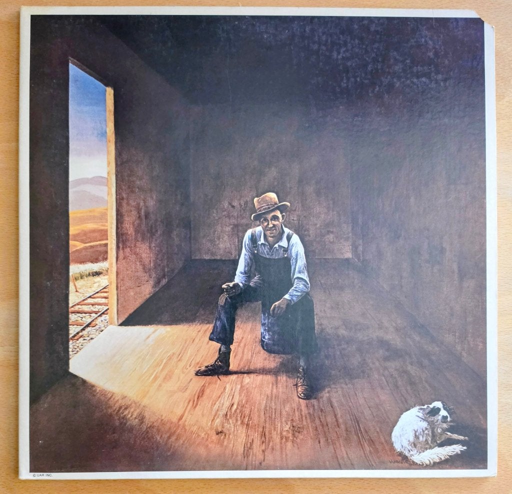 Don Mclean - LP, Cd's en Dvd's, LP, Gebruikt, Ophalen of Verzenden, Inclusief binnenhoes