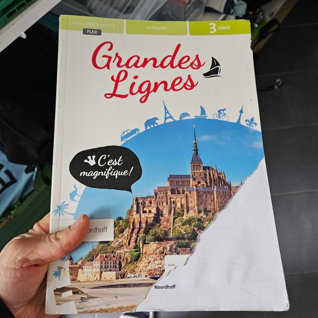 Grandes Lignes 6e ed havo 3 FLEX cahiers d'activités, Ophalen of Verzenden, Zo goed als nieuw