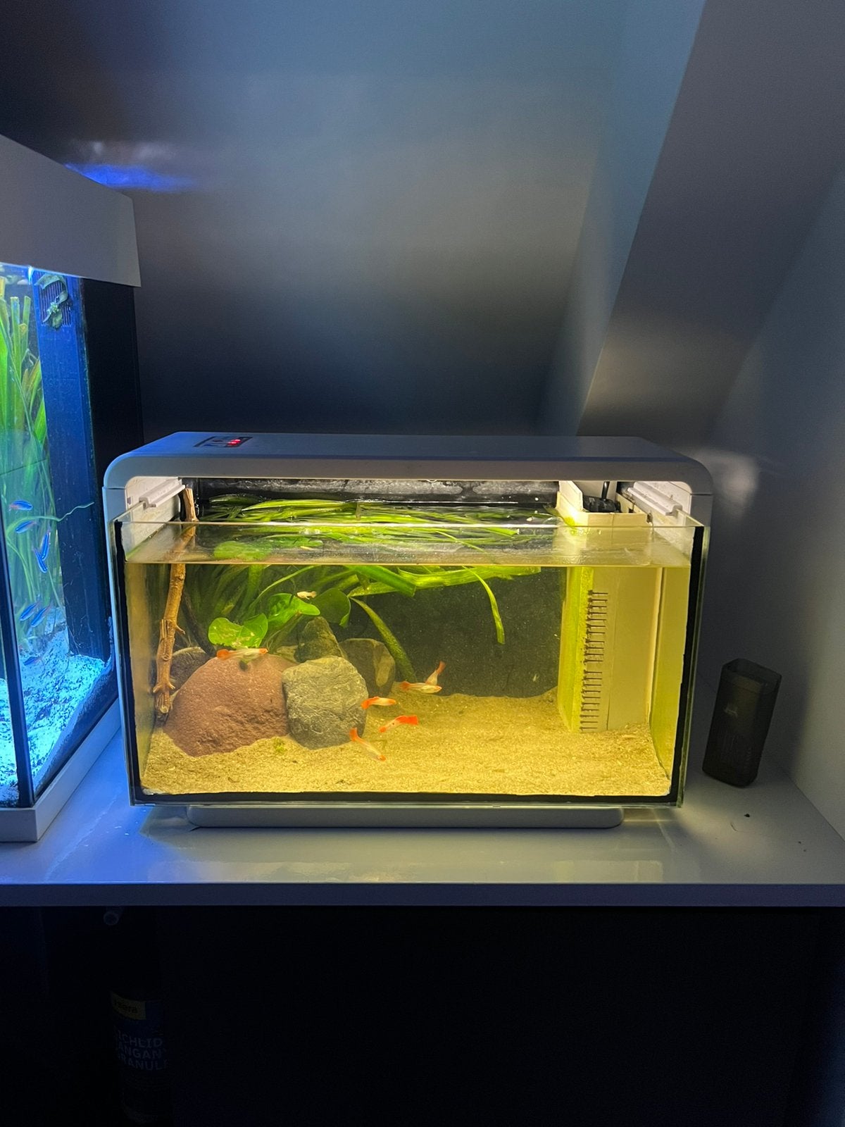 Superfish home 25 ACTIE, Ophalen, Zo goed als nieuw, Gevuld zoetwateraquarium