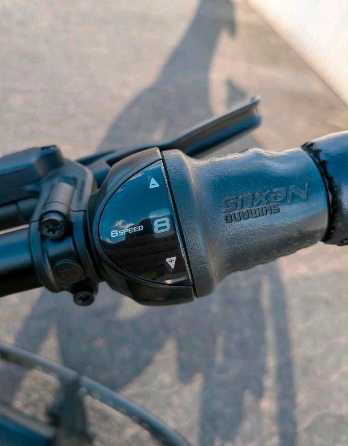 Gazelle Avignon C8 E-bike - Bosch Active Line Plus, 500Wh, Ophalen, Zo goed als nieuw, 47 tot 51 cm, 50 km per accu of meer