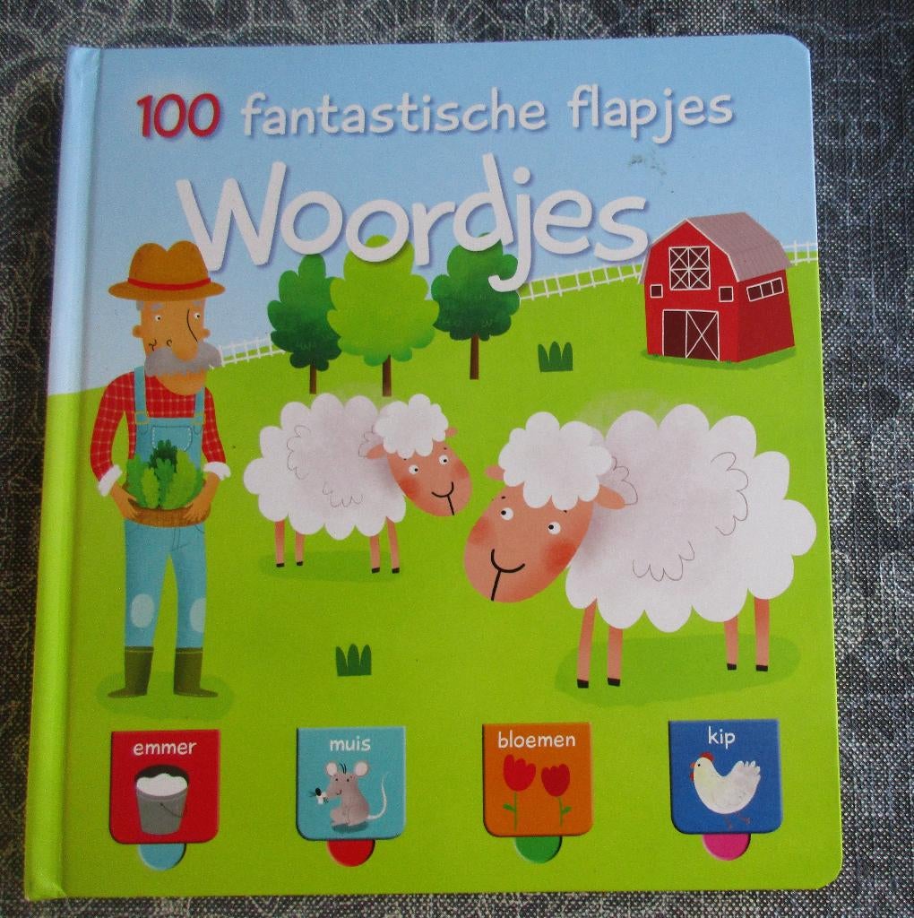 100 fantastische flapjes - WQORDJES, Boeken, Ophalen of Verzenden, Zo goed als nieuw, Jongen of Meisje, Non-fictie