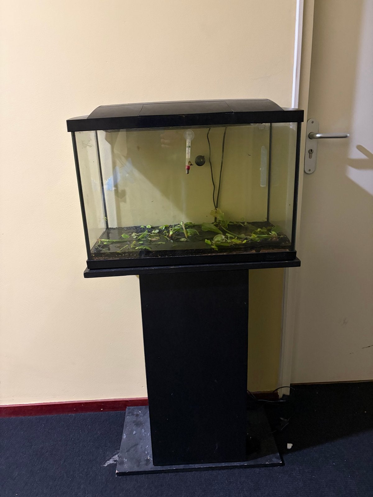 60L aquarium met meubel en toebehoren, Dieren en Toebehoren, Ophalen, Leeg aquarium