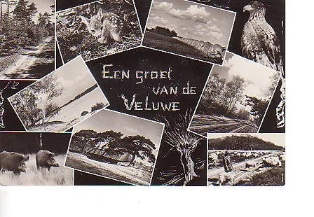 Ansichtkaart	Veluwe	8-luik, Verzamelen, Verzenden, 1940 tot 1960, Gelopen, Gelderland