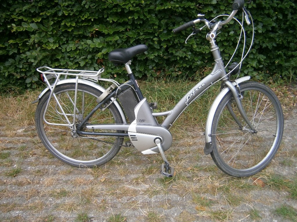 Elektrische fiets, Fietsen en Brommers, Elektrische fietsen, Ophalen, Gebruikt, Giant, Minder dan 47 cm