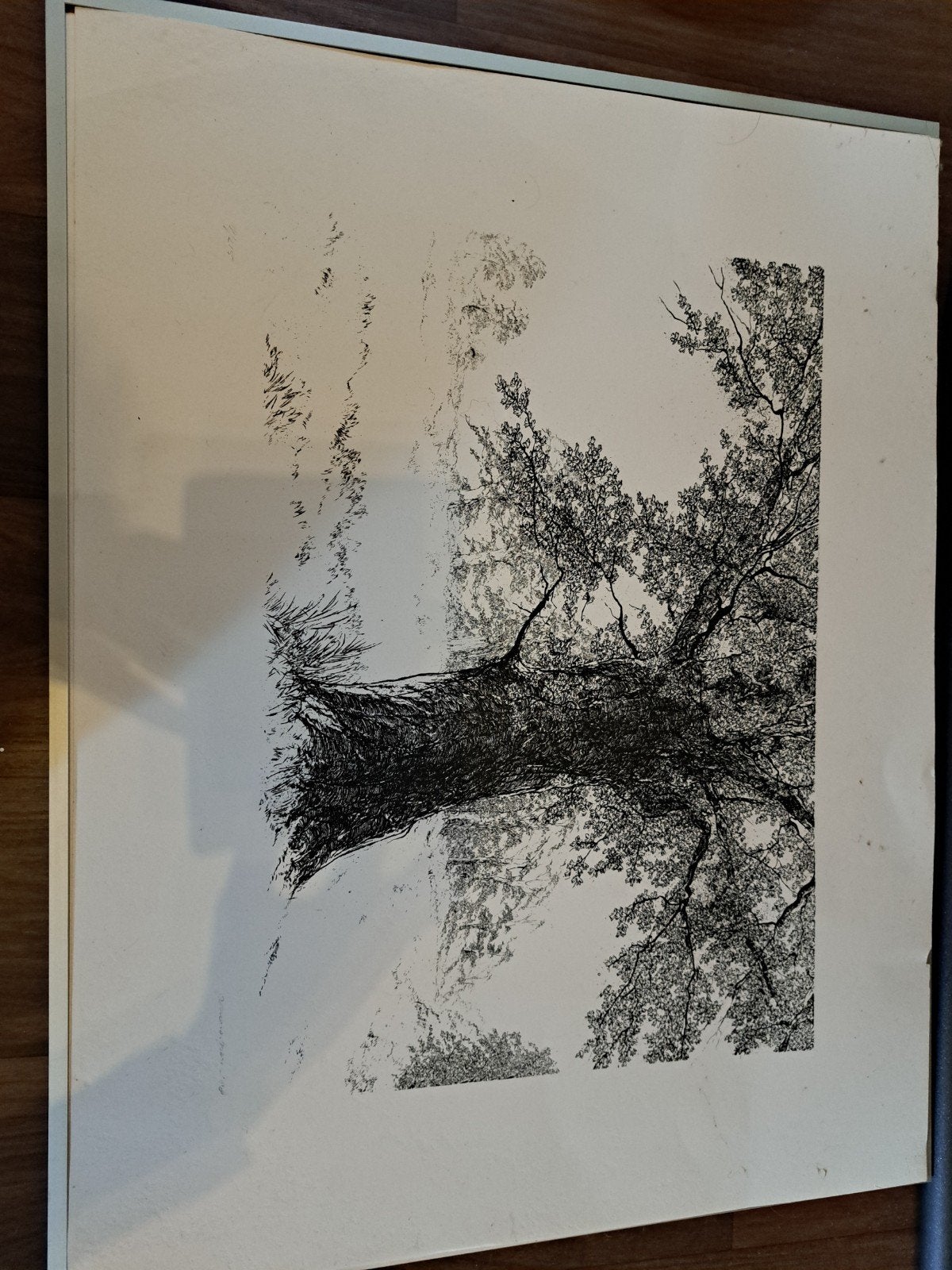 genummerde ets Eik in landschap, Antiek en Kunst, Ophalen of Verzenden, Ets, Genummerd