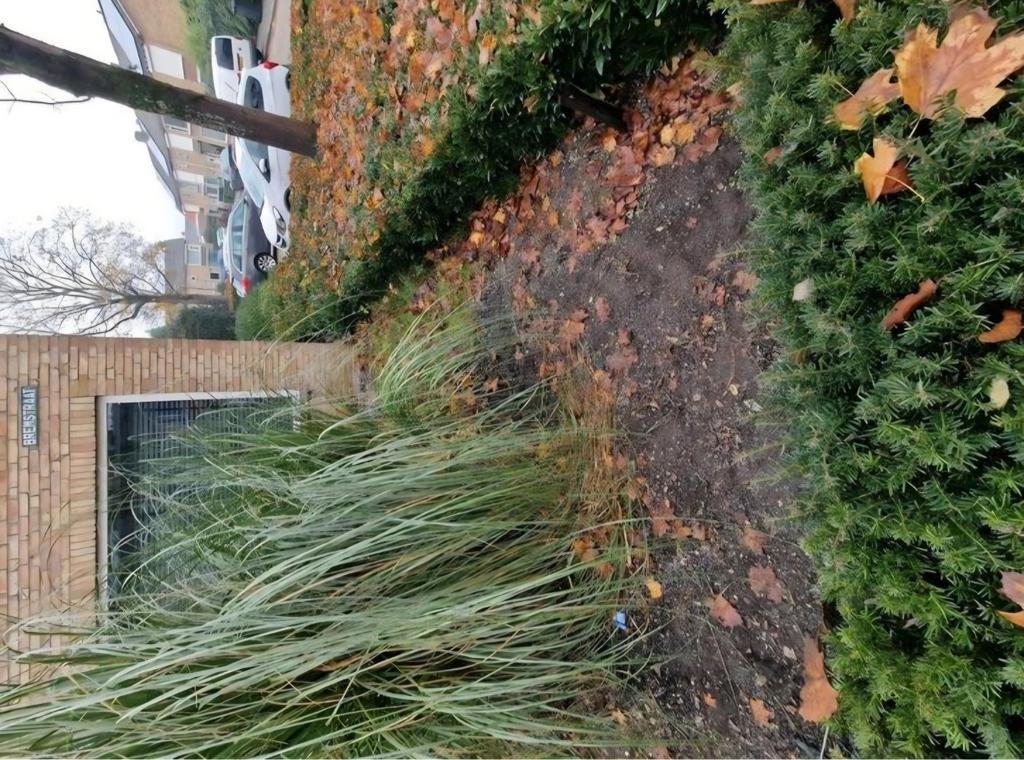Grind gratis op te halen, Tuin en Terras, Grind, Keien en Split, Ophalen