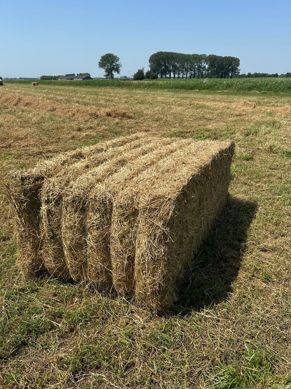 Hooi oogst 2026, Ophalen, Vee