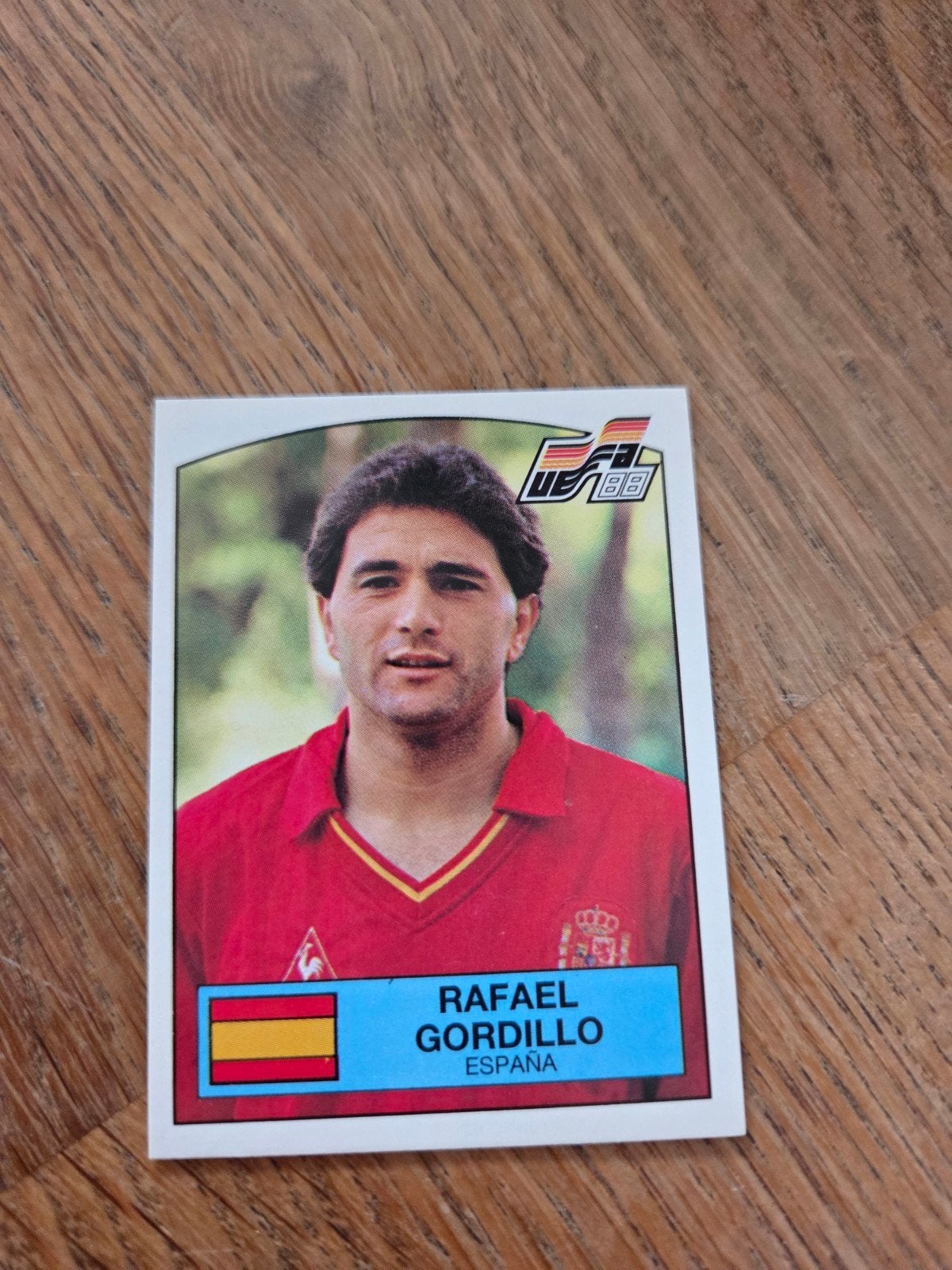 Panini EK 88, Ophalen of Verzenden, Zo goed als nieuw, Sticker