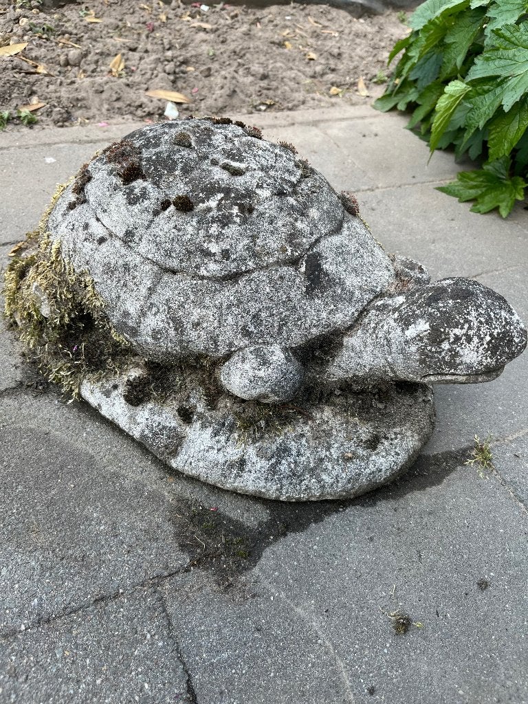 Schildpad beton tuin, Ophalen, Gebruikt, Beton, Dierenbeeld