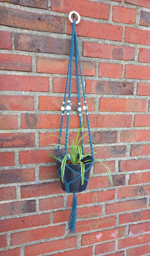 Plantenhanger 3, Ophalen, Halfschaduw, Minder dan 100 cm