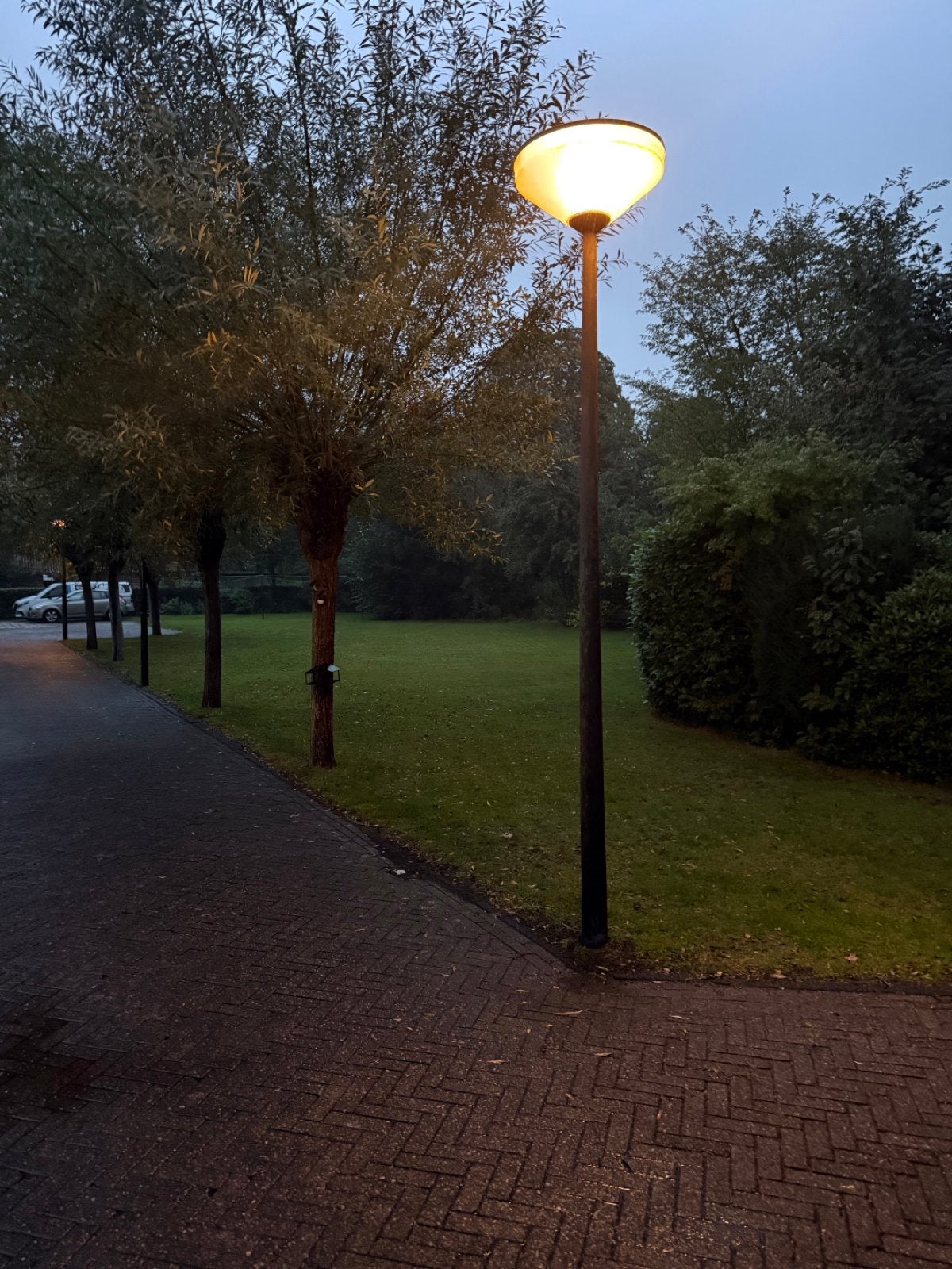 Lantaarnpalen - Set van 2 met lampen, Gasontladingslamp, Gebruikt, 60 watt of meer, Ophalen of Verzenden