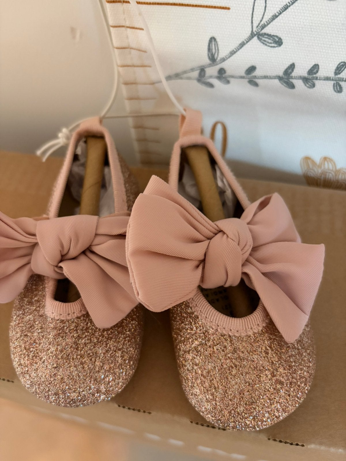 Ballerina’s nieuw, Kinderen en Baby's, Schoentjes, Meisje, Nieuw, Ophalen of Verzenden