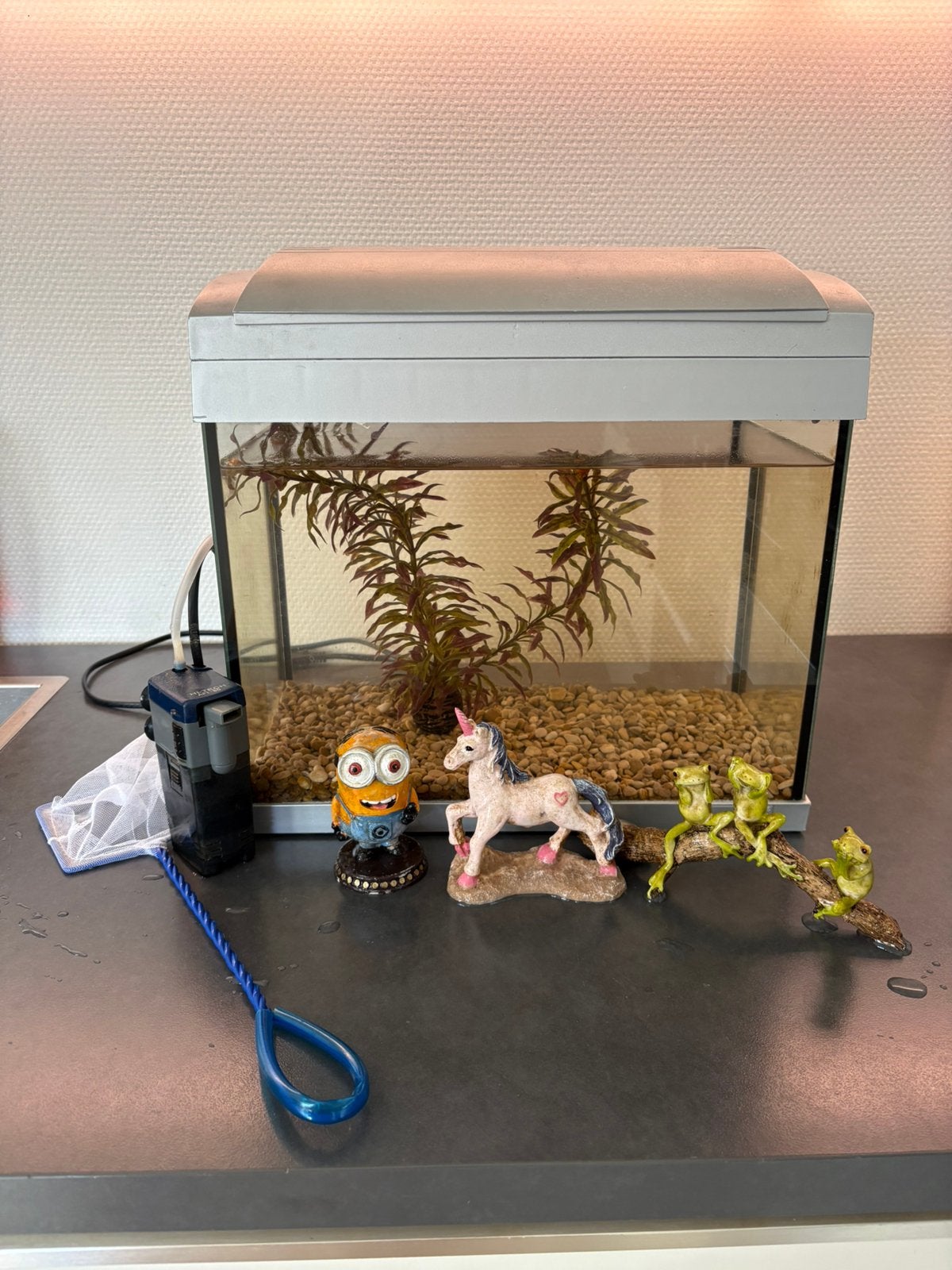 Aquarium met toebehoren, Ophalen, Zo goed als nieuw, Leeg aquarium