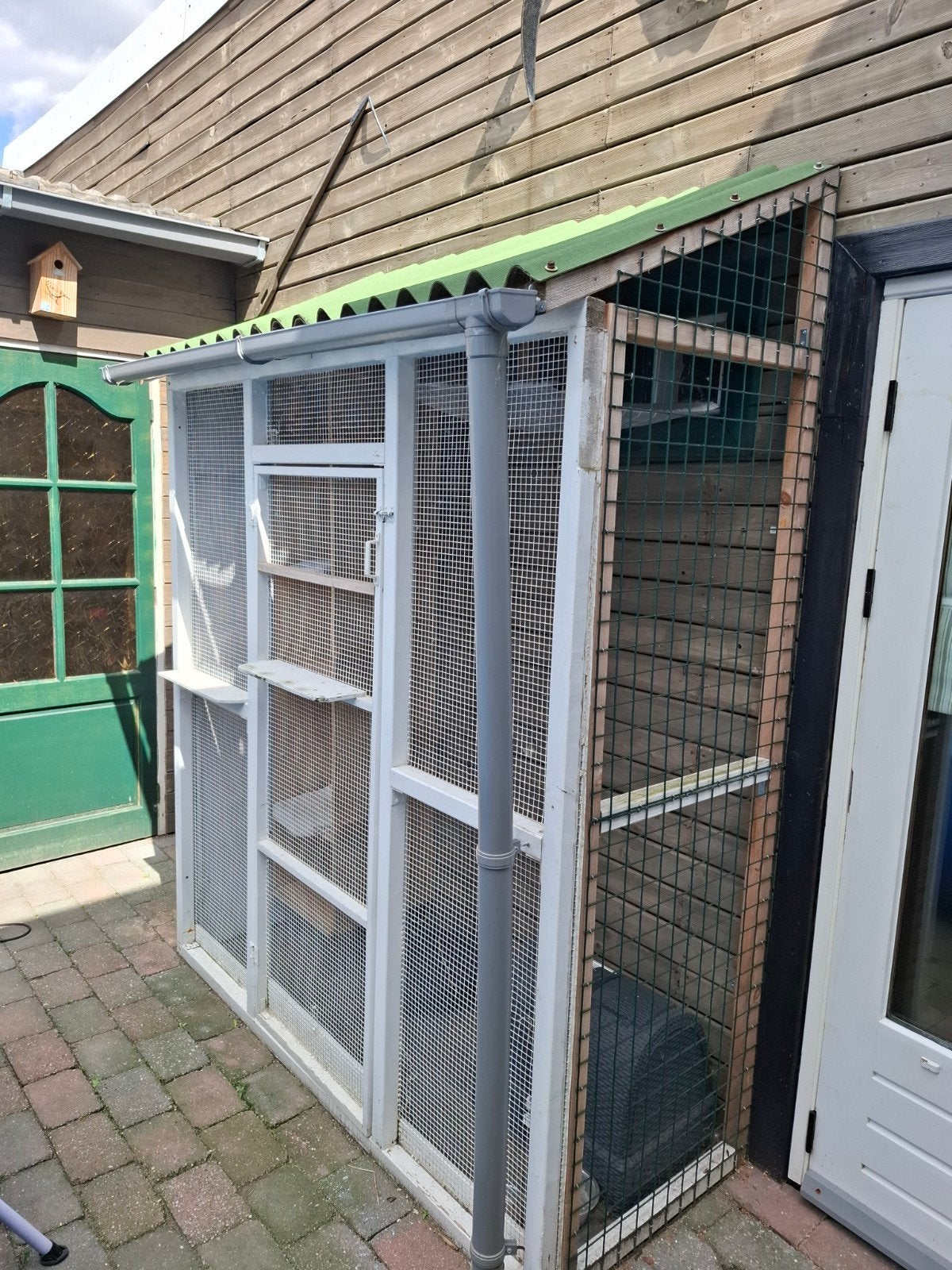 kattenren te koop, Ophalen, Gebruikt