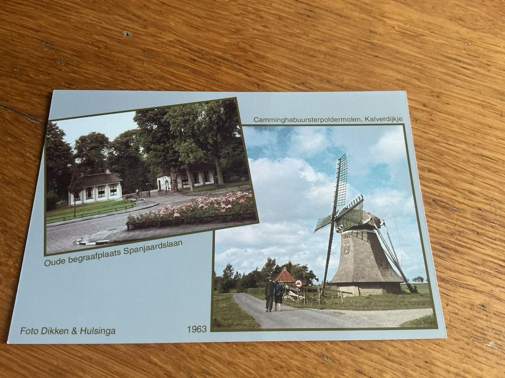 m65 Leeuwarden molen REPRODUCTIE, Ophalen of Verzenden, Voor 1940, Zo goed als nieuw