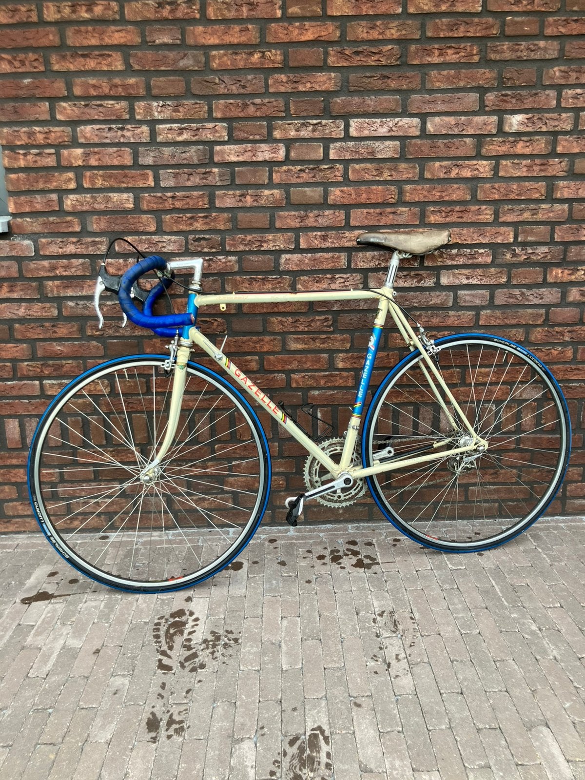 Gazelle Champion Mondial 1981, Fietsen en Brommers, Fietsen | Racefietsen, Ophalen, Zo goed als nieuw, 57 tot 61 cm, Gazelle