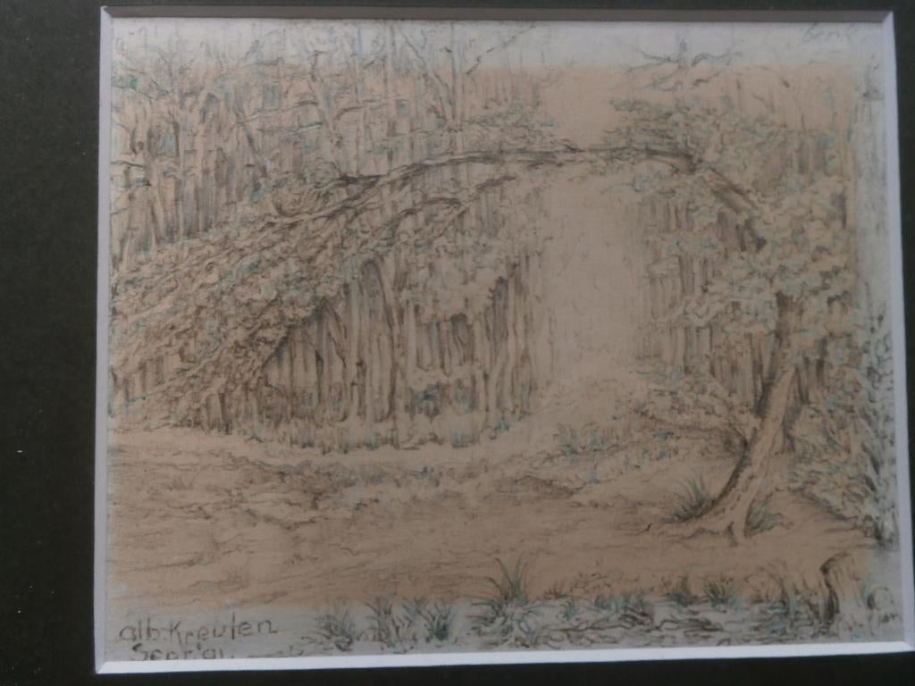 Gekl Tek. Bos gebogen Boom Albert Kreulen, Ophalen of Verzenden