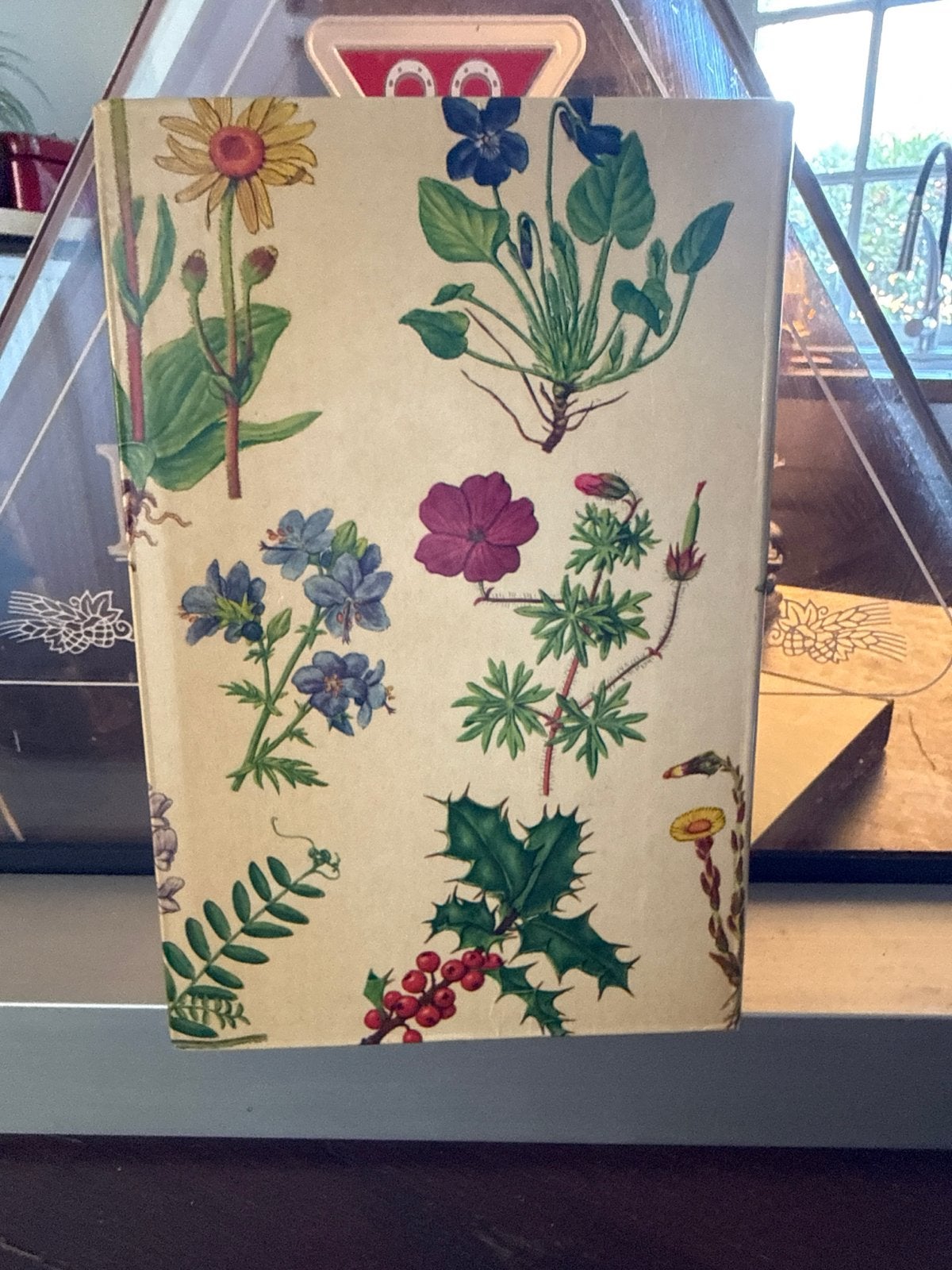 Nieuwe Flora in Kleur - M. Skytte Christiansen & H. Anthon, Ophalen of Verzenden, Gelezen, Bloemen, Planten en Bomen